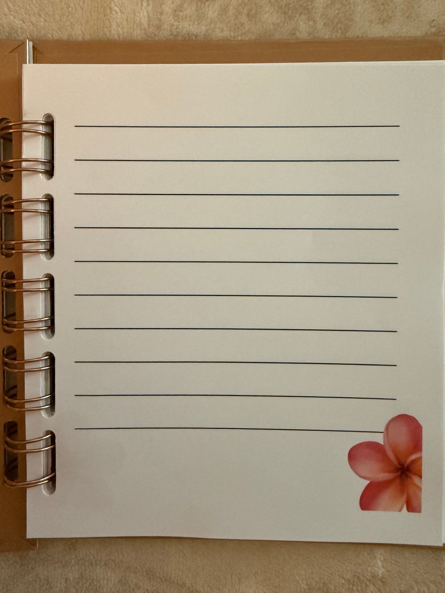 God, Today: A Daily Reflection Notebook for Deepening Your Walk with God